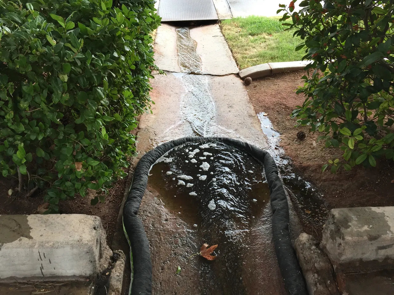 Protecting Our Waterways