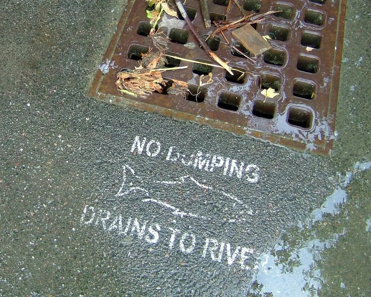 Think 'Only Rain Down the Drain' is the Law? Think Again